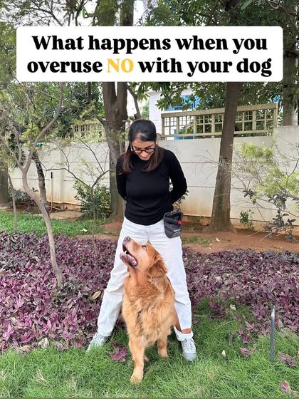 Nitika Ahlawat - Dog and Child Safety & Integration Myth Busters: Common Training Mistakes photo 3