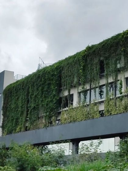 A closer view of the living facade at 'Tech 37'. The dense curtain of greenery softens the building's concrete structure, providing a beautiful example of how landscape and architecture can be fully integrated.