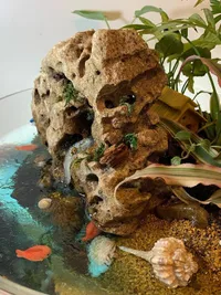 Decorative Miniature Gardens