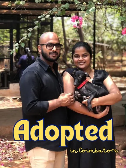 This is what it's all about. Every event is a chance for a shelter animal to find their forever family. Seeing our pups go to loving homes, like this one in Coimbatore, is the reason we do what we do.