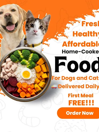 Here you can see exactly what I offer: fresh, healthy, and affordable home-cooked food for both dogs and cats, delivered daily. This graphic shows a happy dog and cat next to a balanced meal, with a clear offer for your first meal free.