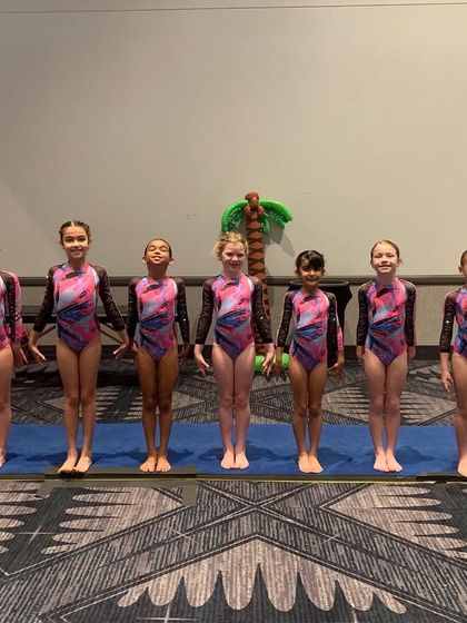 Fun & Fitness - Gymnastics & Tumbling Programs Our Champion Girls Teams photo 65