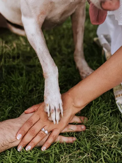 Sometimes the smallest details tell the biggest story. This close-up of a paw resting on loving hands symbolizes the deep bond and trust we share with our pets, a key focus in my family and pet photography.