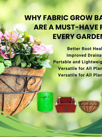 I often get asked why I recommend fabric grow bags so much. This graphic breaks it down, showing how they promote better root health and drainage. I offer a variety of options, from green HDPE bags to coir baskets and rectangular beds.