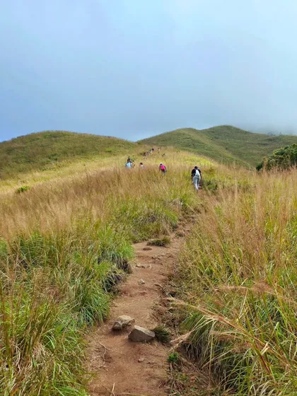 Trekkers ascending through the golden grasslands in the upper sections of Kumaraparvatha.