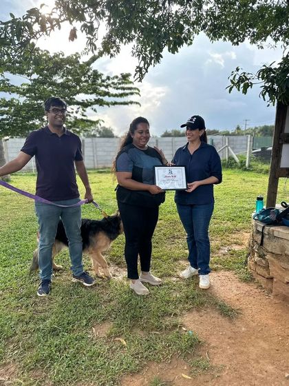 Zoella Dog Training - Puppy Foundation Training My Story & My Pups photo 25