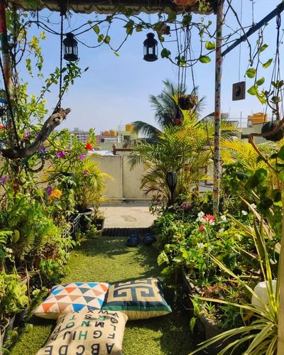 Urban Garden Design & Landscaping