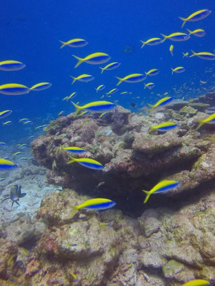 Yoga & Adventure: Lakshadweep photo 8