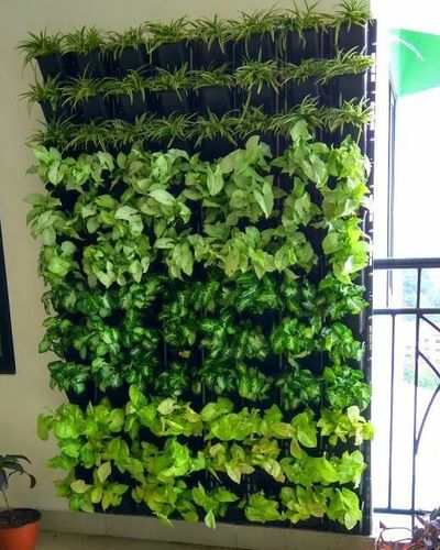 Vertical Gardens