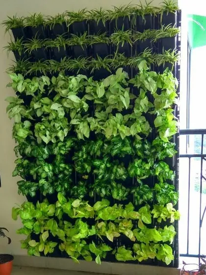 Don't have floor space? Let's use the walls. This full-sized vertical garden on a balcony is a perfect example of how I can create a dense, green backdrop that purifies the air and adds incredible beauty without taking up valuable room.