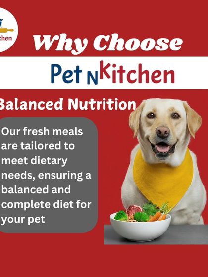 Every pet has unique dietary needs. This graphic shows how my fresh meals are tailored to provide a complete and balanced diet, ensuring your pet gets the right mix of protein, carbs, and nutrients every day.