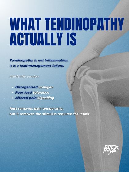 Tendon Pain & Tendinopathy Science photo 3