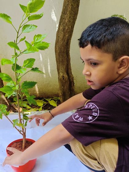 Purple Asters - Preschool & Daycare Making Memories: Special School Days photo 16