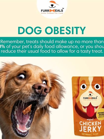 Those puppy-dog eyes are hard to resist, but treats should only be 10% of your dog's daily food. I recommend healthy, natural options like my Chicken Jerky and help you create a plan the whole family can stick to.