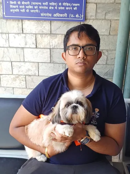 This adorable Shih Tzu is getting his final check-up and paperwork signed off at the AQCS office.