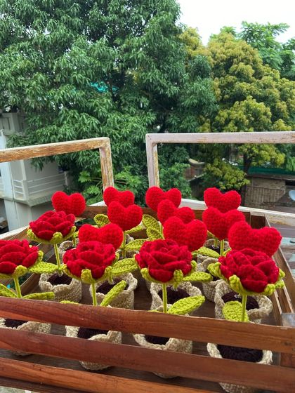 Cheerful Potted Plants photo 52