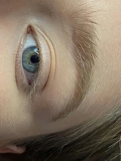 A close-up of a natural-looking brow lamination. The key is to create a soft, lifted effect without making the hairs look stiff or unnatural.