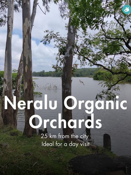 The Pack - Pet-Friendly Adventures & Meetups Pet-Parent Resources: Guides & Tips photo 27