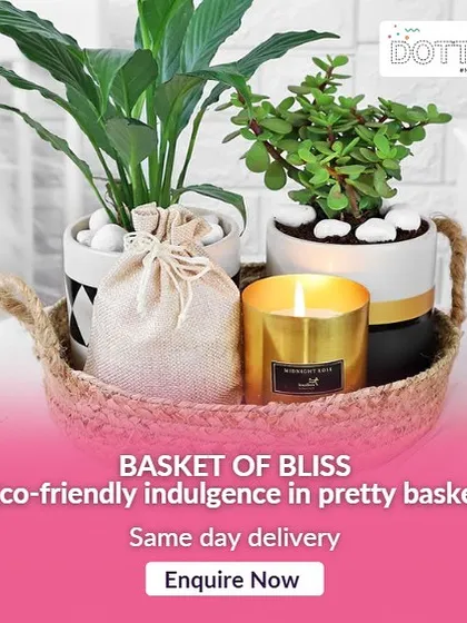 My "Basket of Bliss" is for those who appreciate calm and nature. This eco-friendly hamper features live plants, a hand-poured scented candle, and other wellness items, all arranged in a beautiful, reusable jute basket.