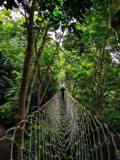 Challenge your spirit of adventure on our rope bridge, suspended high amidst the dense forest canopy. It's a thrilling walk you won't forget.