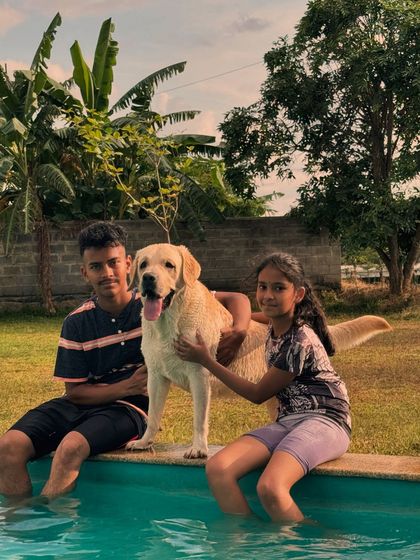 The Pawsome Camp - Dog Park & Pool Splash & Play: Our Dog Pool photo 7