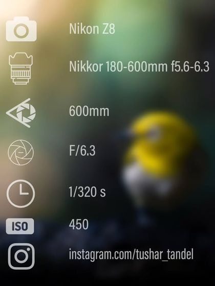 Gear, Tips, and Techniques photo 4