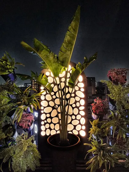 Here is a work-in-progress shot from a hotel terrace we designed for evening events. We created a stunning facade using a custom-built backlit screen and a tall Bird of Paradise plant, turning the wall into a dramatic, glowing centerpiece against the night sky.