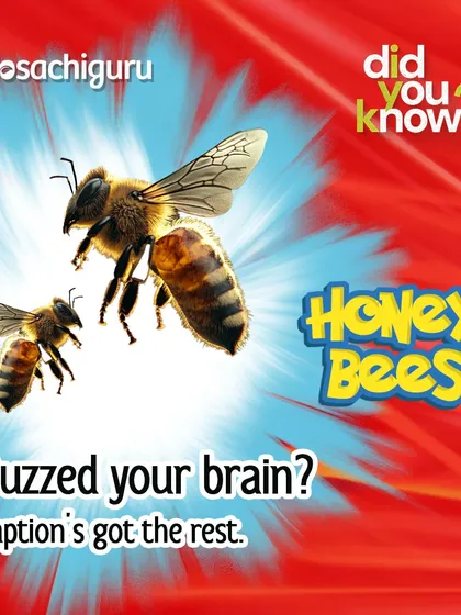 Did you know that if bees disappear, your plate might too? Around 75% of the world's food crops depend on pollinators like bees. They are the backstage crew keeping the global food show running.