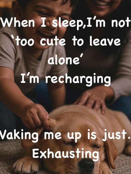 Govind Raj - Dog Training & Behavior Modification A Dog's Point of View photo 5