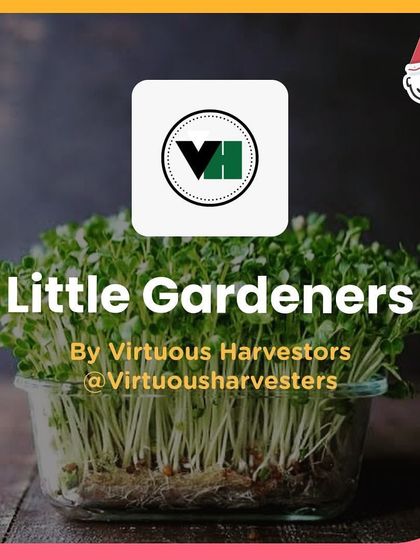 More Events & Activities photo 18