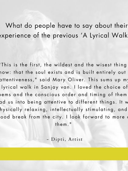 These are more reflections from people who have joined my walks. Their words speak to the soul-nourishing, meditative, and connecting power of blending poetry with nature. I am so grateful for their willingness to share their experiences.