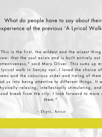 These are more reflections from people who have joined my walks. Their words speak to the soul-nourishing, meditative, and connecting power of blending poetry with nature. I am so grateful for their willingness to share their experiences.