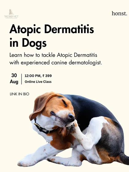 We collaborate with veterinary specialists to bring you expert knowledge on complex health issues. This online class on Atopic Dermatitis, led by a canine dermatologist, is an example of how we help you tackle chronic conditions with confidence.