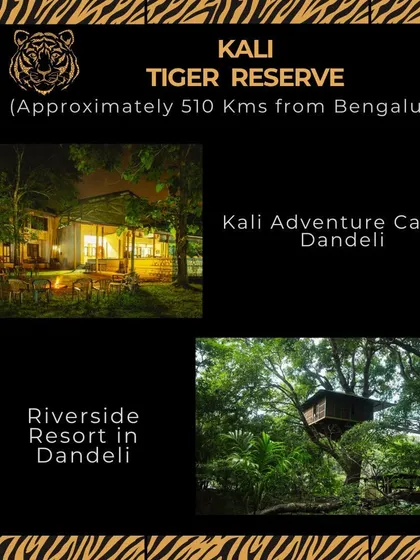 The Kali Tiger Reserve, about 510 kms from Bangalore, is a hotspot for adventure. Stay at the Kali Adventure Camp for rafting or a Riverside Resort for a quieter experience.