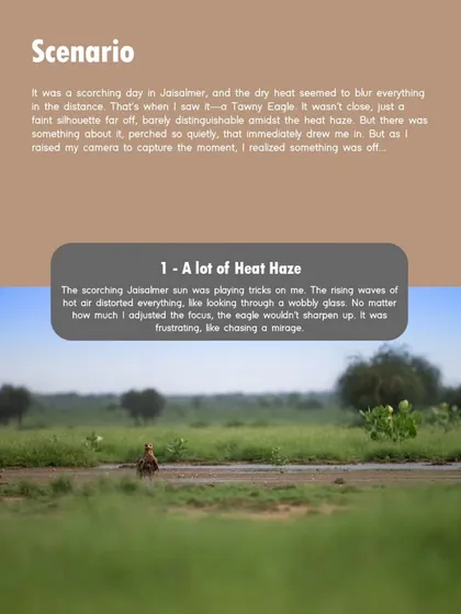A breakdown of the challenges for the Tawny Eagle shot. The first problem was the intense heat haze, which distorted everything and made focusing incredibly difficult.