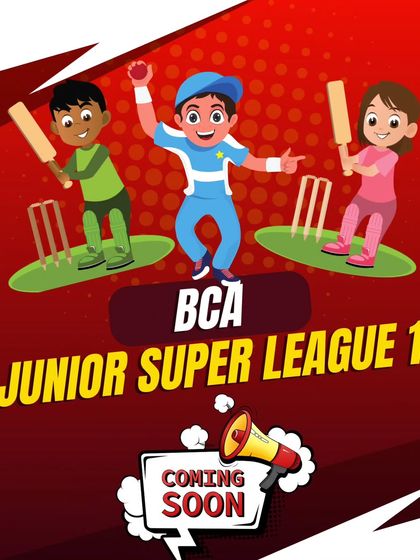 Boundless Cricket Academy - Group Cricket Training Learn the Game: Pro Tips & News photo 6