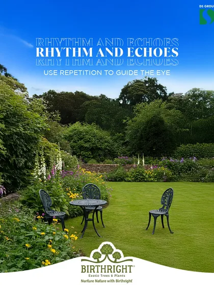 We use rhythm and echoes to guide the eye through a landscape. The repetition of plant forms and the placement of the chairs in this garden create a visual flow that makes the space feel cohesive and thoughtfully composed.