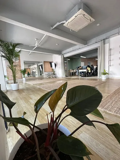 A view across the open-plan office and yoga studio at Indpro, showing how we integrated various plants to define spaces and improve the overall atmosphere. The Philodendron in the foreground adds a pop of rich color.