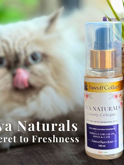 PawsnCollars - Pet Grooming & Spa Ava Naturals: Luxury Pet Cologne photo 13