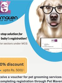 Pet Registration Service (Gurugram)