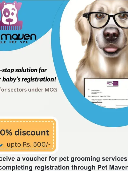 As a thank you for being a responsible pet parent, we offer a special bonus. Once your fur baby's MCG registration is complete, you'll receive a voucher for 50% off our mobile pet grooming services.