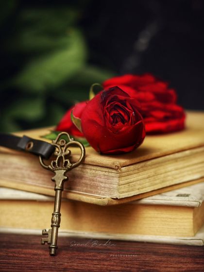 This frame holds more than just props. It’s a collection of personal items: vintage books, a rustic key, and roses from my husband. For me, photography is about turning my own emotions and stories into timeless visuals.