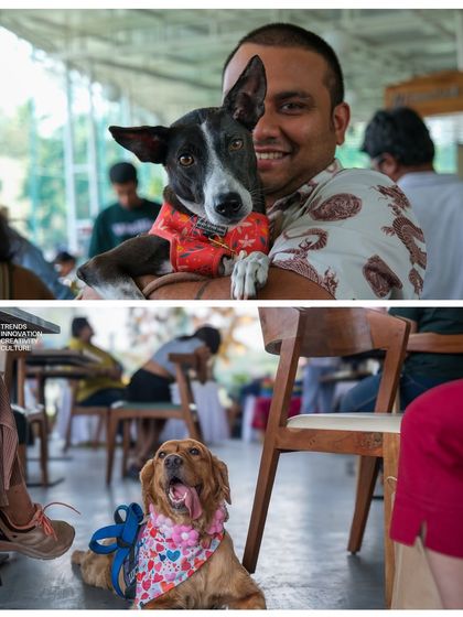 A snapshot of the lively and loving atmosphere at the fundraiser, with happy dogs enjoying the attention and company.