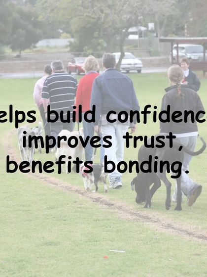 Gourav Vartalur - Dog Obedience Training Group Obedience Classes photo 11