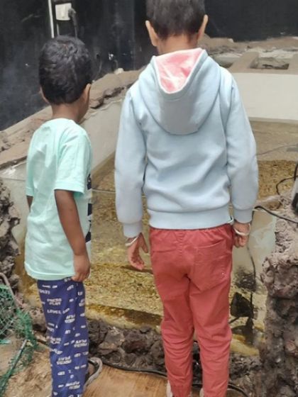 A gallery from our day at the aquarium. The children's faces light up with wonder as they observe the magic of underwater life, from colorful fish to starfish.