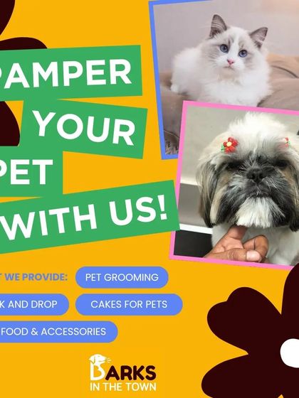 We offer a full range of services to pamper your pet, including pick and drop, custom cakes for pets, and a shop full of food and accessories.
