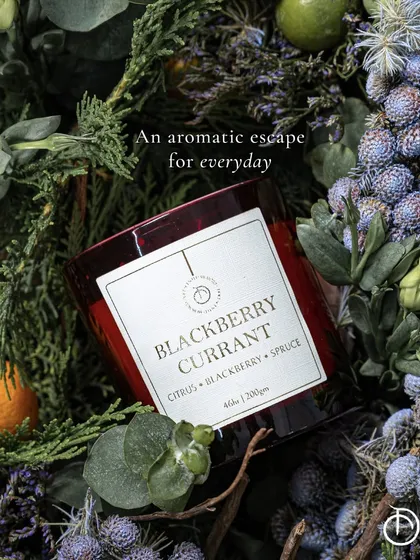 Iridescent luxury for every mood. This creative shot places my Blackberry Currant candle amidst a bed of lush greenery and berries, capturing the natural inspiration behind the aromatic escape.