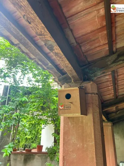 A newly installed nest box, ready to welcome a sparrow family. These boxes mimic the natural cavities that sparrows use for nesting, which are often scarce in modern city buildings.