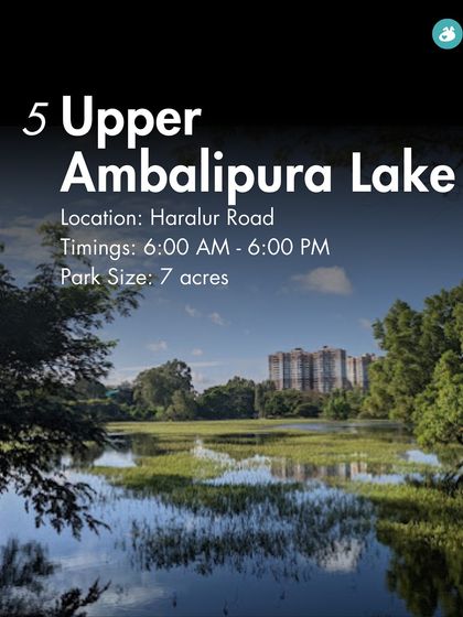 The Pack - Pet-Friendly Adventures & Meetups Pet-Parent Resources: Guides & Tips photo 6