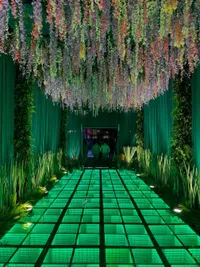 Wedding & Event Design and Production